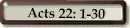 Acts 22:1-30
