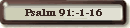Psalm 91:1-16
