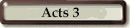 Acts 3