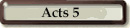 Acts 5