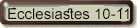 Ecclesiastes 10-11