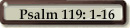 Psalm 119: 1-16